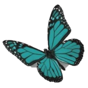 Questionnaire historique et dynamique de l'organisation